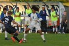 Men's Soccer vs Gordon  Wheaton Men's Soccer vs Gordon. - Photo by Keith Nordstrom : Wheaton, Soccer, Gordon, MSoc2019